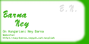barna ney business card
